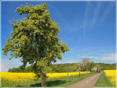 Haus der Familie in Unterfranken